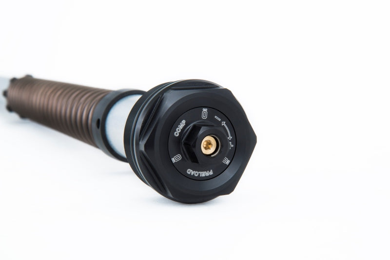 Ohlins NIX 22 front fork cartridge kit for 2018-2021 Harley-Davidson Softail